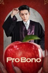 Nonton film Pro Bono terbaru