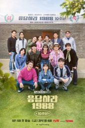 Nonton film Reply 1988 10th Anniversary terbaru