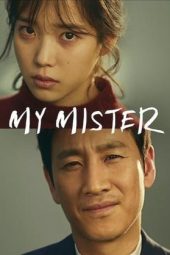 Nonton film My Mister terbaru