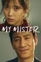 Nonton film My Mister terbaru