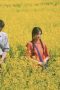 Nonton film Love Story in the 1970s Season 1 Episode 7 terbaru